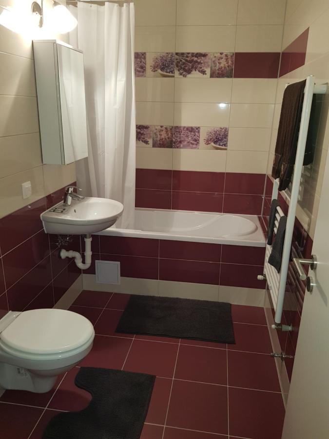 Avantgarden Brasov, Perfect Home - 1 Room Apartment Eksteriør billede