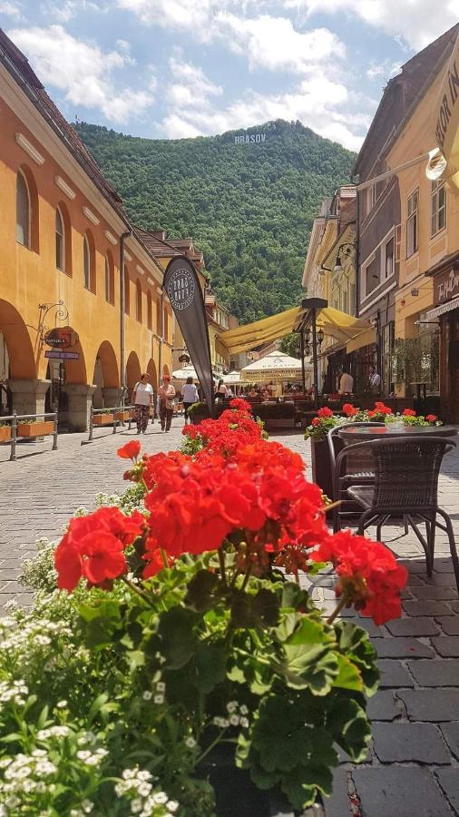 Avantgarden Brasov, Perfect Home - 1 Room Apartment Eksteriør billede
