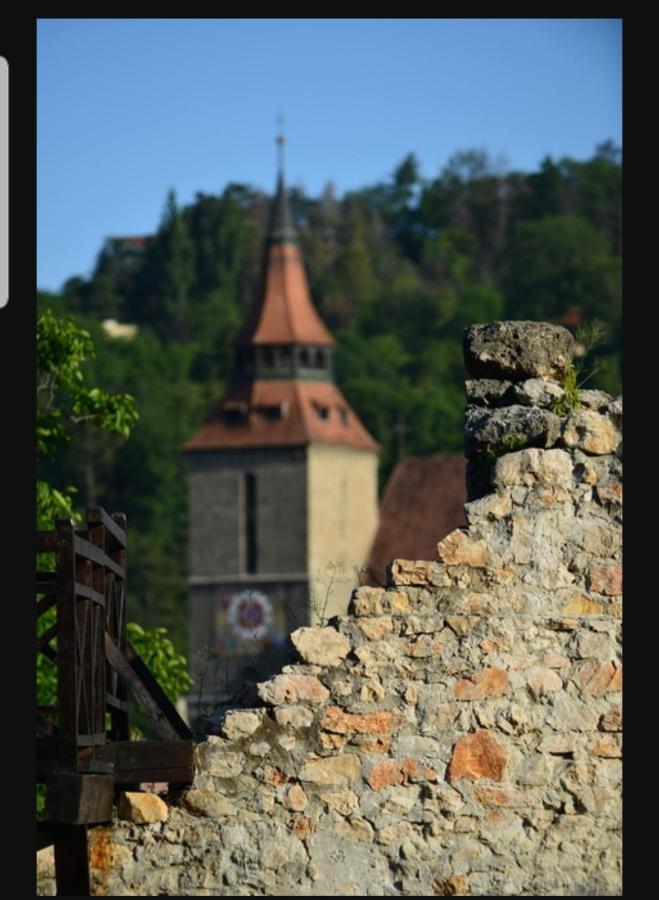 Avantgarden Brasov, Perfect Home - 1 Room Apartment Eksteriør billede